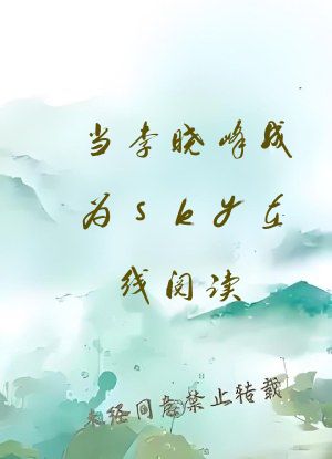当李晓峰成为sky在线阅读